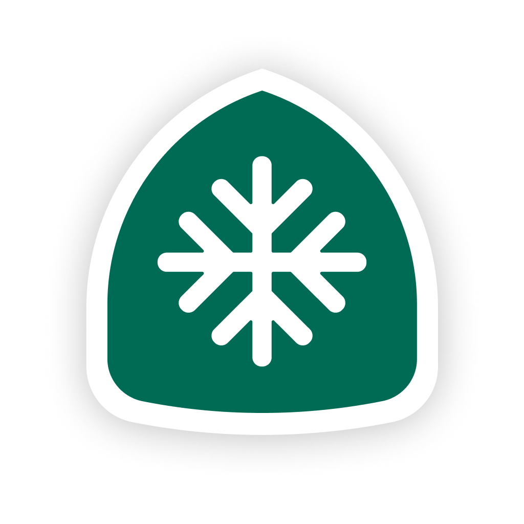 Snowy roads app icon
